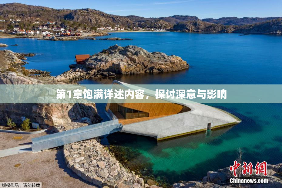 第1章饱满详述内容，探讨深意与影响