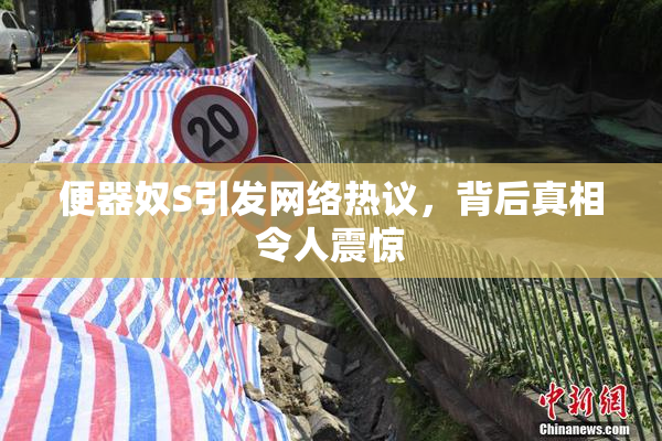 便器奴S引发网络热议，背后真相令人震惊