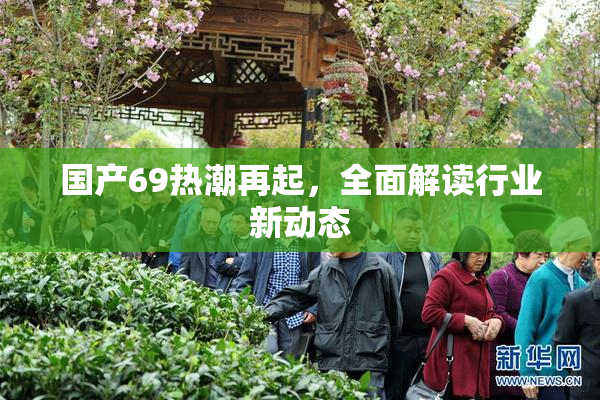 国产69热潮再起，全面解读行业新动态