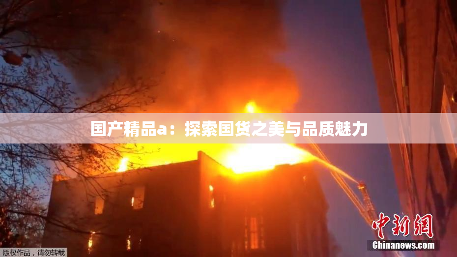 国产精品a：探索国货之美与品质魅力