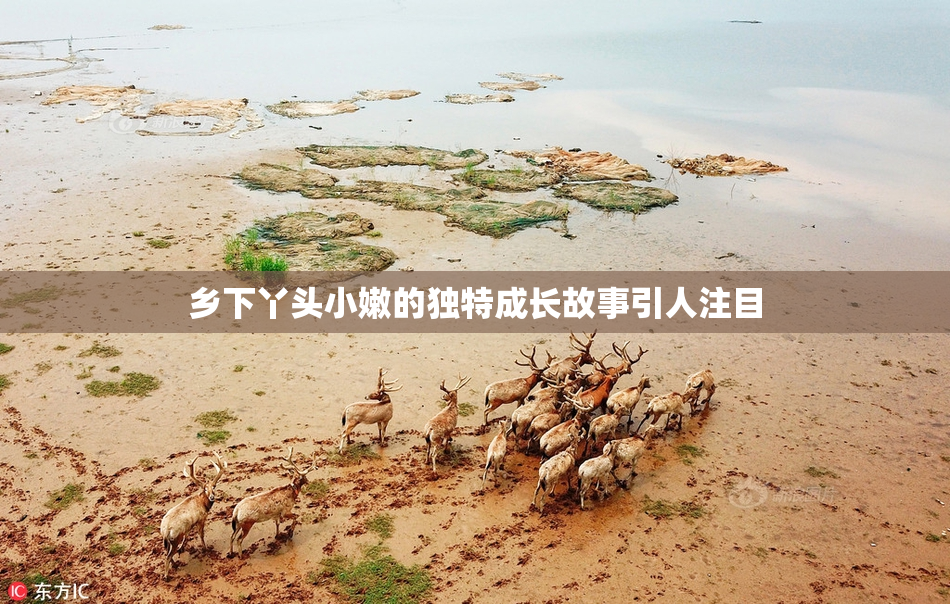 乡下丫头小嫩的独特成长故事引人注目