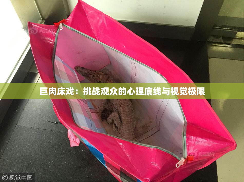 巨肉床戏：挑战观众的心理底线与视觉极限