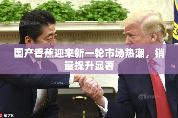 国产香蕉迎来新一轮市场热潮，销量提升显著