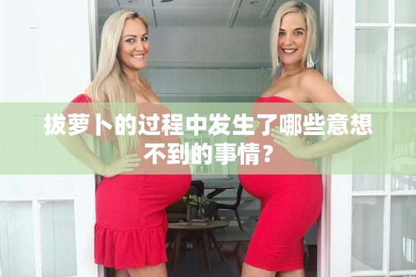 拔萝卜的过程中发生了哪些意想不到的事情？
