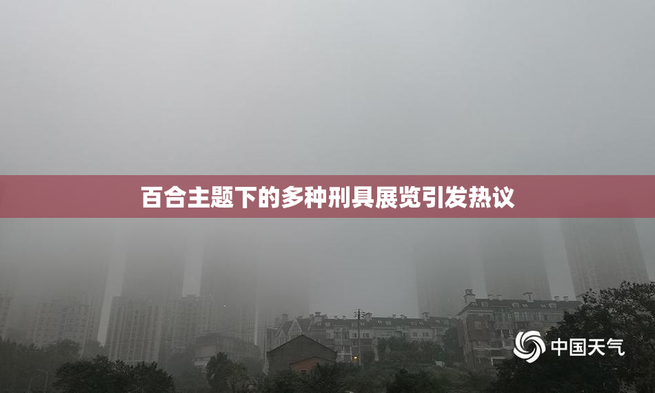 百合主题下的多种刑具展览引发热议