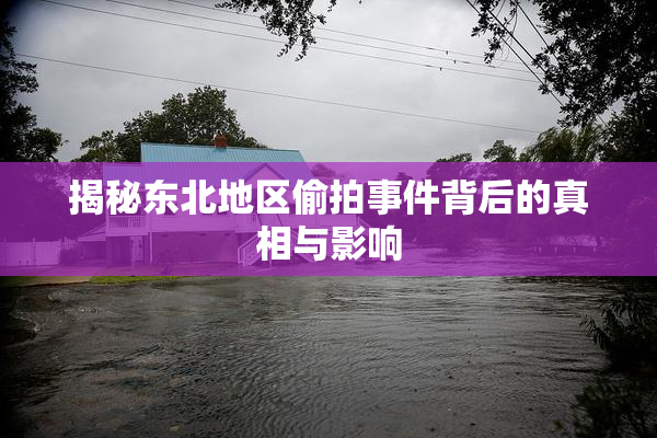 揭秘东北地区偷拍事件背后的真相与影响
