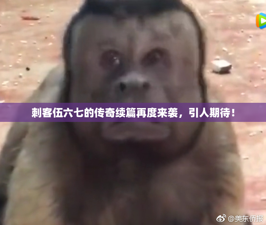 刺客伍六七的传奇续篇再度来袭，引人期待！