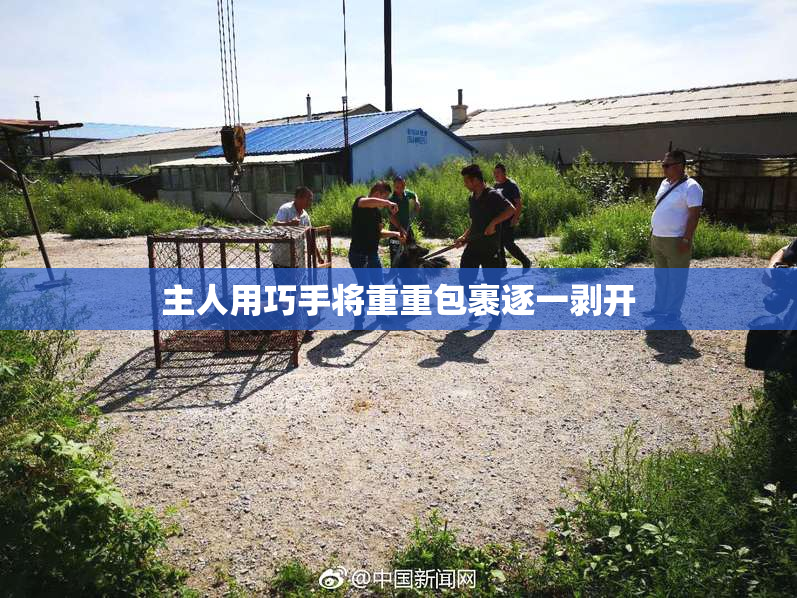 主人用巧手将重重包裹逐一剥开