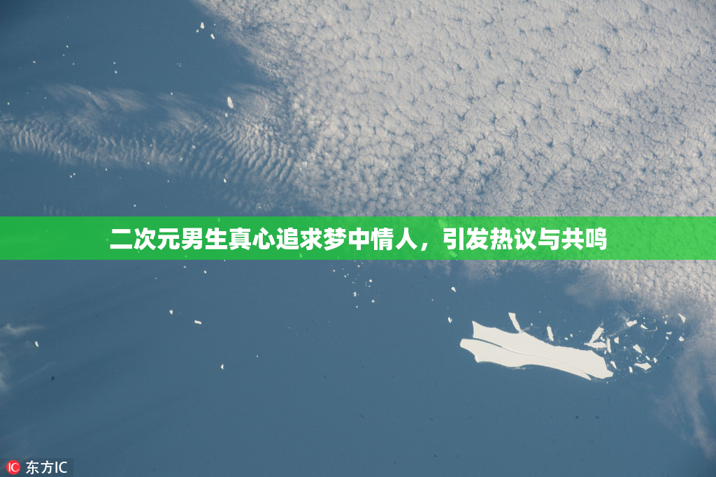 二次元男生真心追求梦中情人，引发热议与共鸣