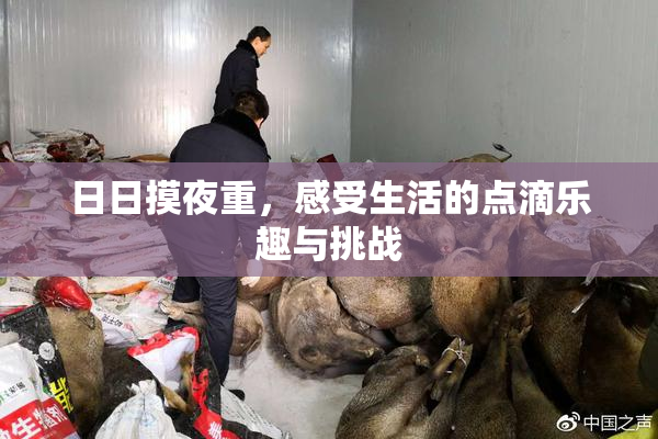日日摸夜重，感受生活的点滴乐趣与挑战