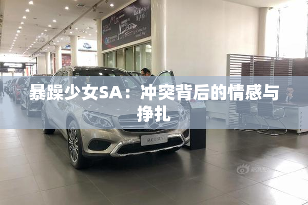 暴躁少女SA：冲突背后的情感与挣扎