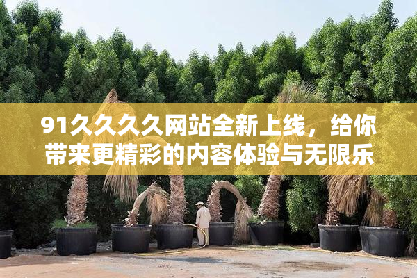 91久久久久网站全新上线，给你带来更精彩的内容体验与无限乐趣！