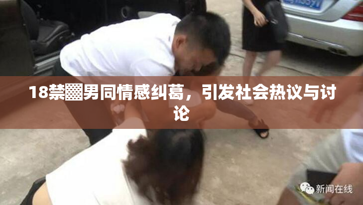18禁▓男同情感纠葛，引发社会热议与讨论
