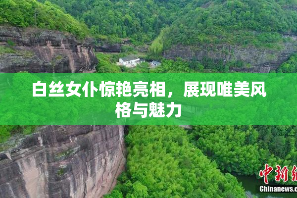 白丝女仆惊艳亮相，展现唯美风格与魅力