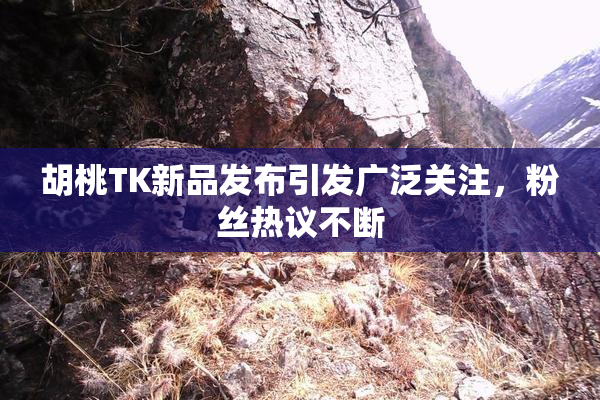 胡桃TK新品发布引发广泛关注，粉丝热议不断