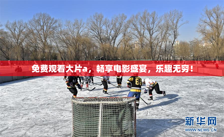 免费观看大片a，畅享电影盛宴，乐趣无穷！