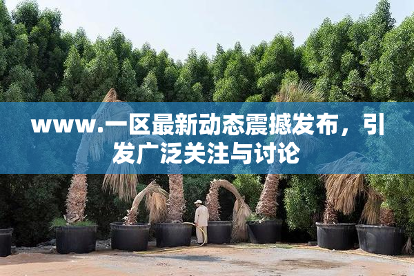 www.一区最新动态震撼发布，引发广泛关注与讨论