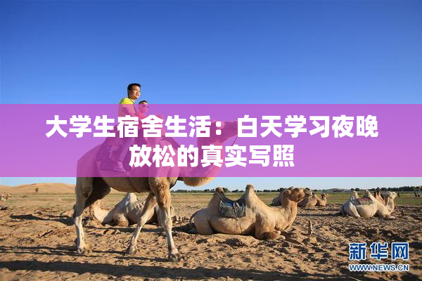 大学生宿舍生活：白天学习夜晚放松的真实写照