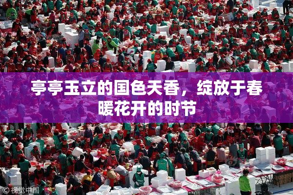 亭亭玉立的国色天香，绽放于春暖花开的时节