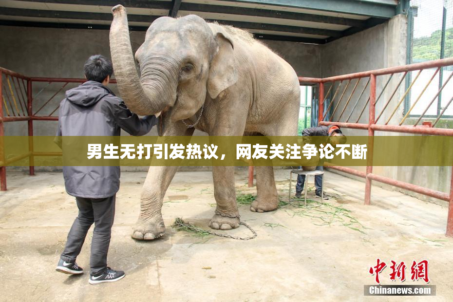 男生无打引发热议，网友关注争论不断