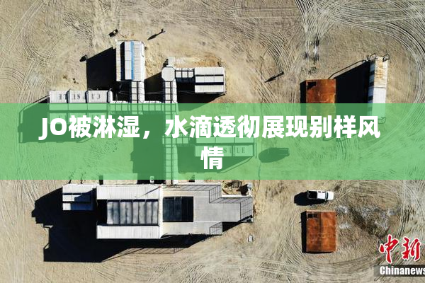 JO被淋湿，水滴透彻展现别样风情