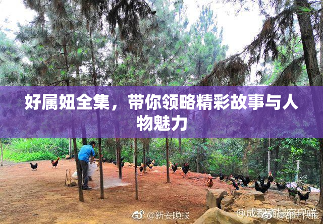 好属妞全集，带你领略精彩故事与人物魅力