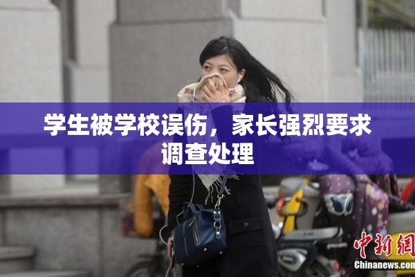 学生被学校误伤，家长强烈要求调查处理