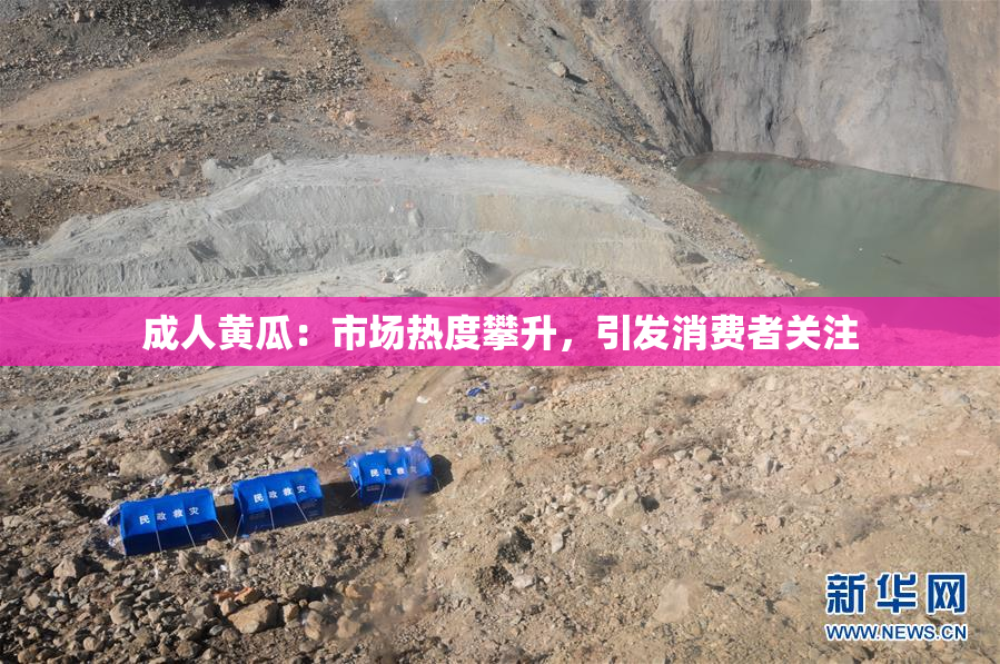 成人黄瓜：市场热度攀升，引发消费者关注