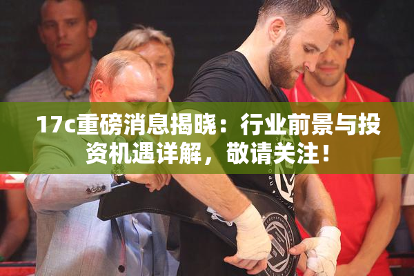 17c重磅消息揭晓：行业前景与投资机遇详解，敬请关注！