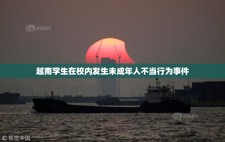 越南学生在校内发生未成年人不当行为事件