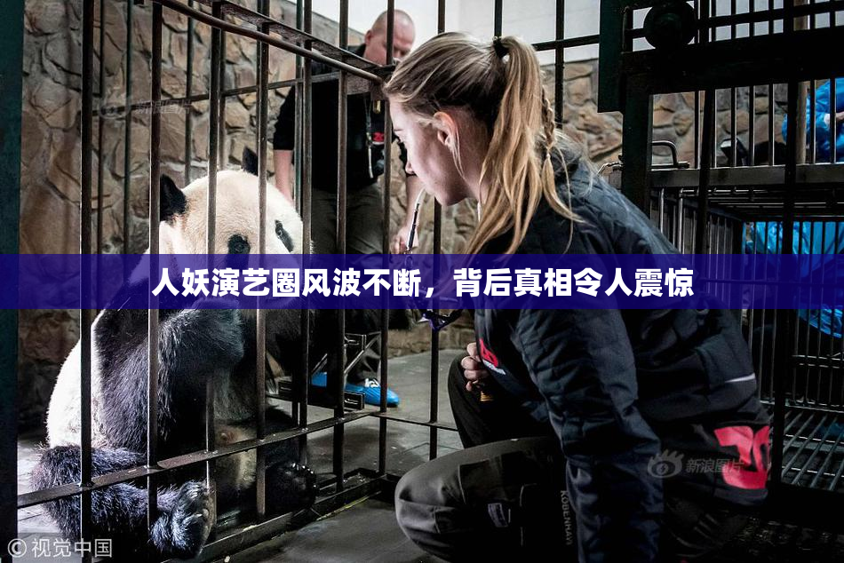 人妖演艺圈风波不断，背后真相令人震惊