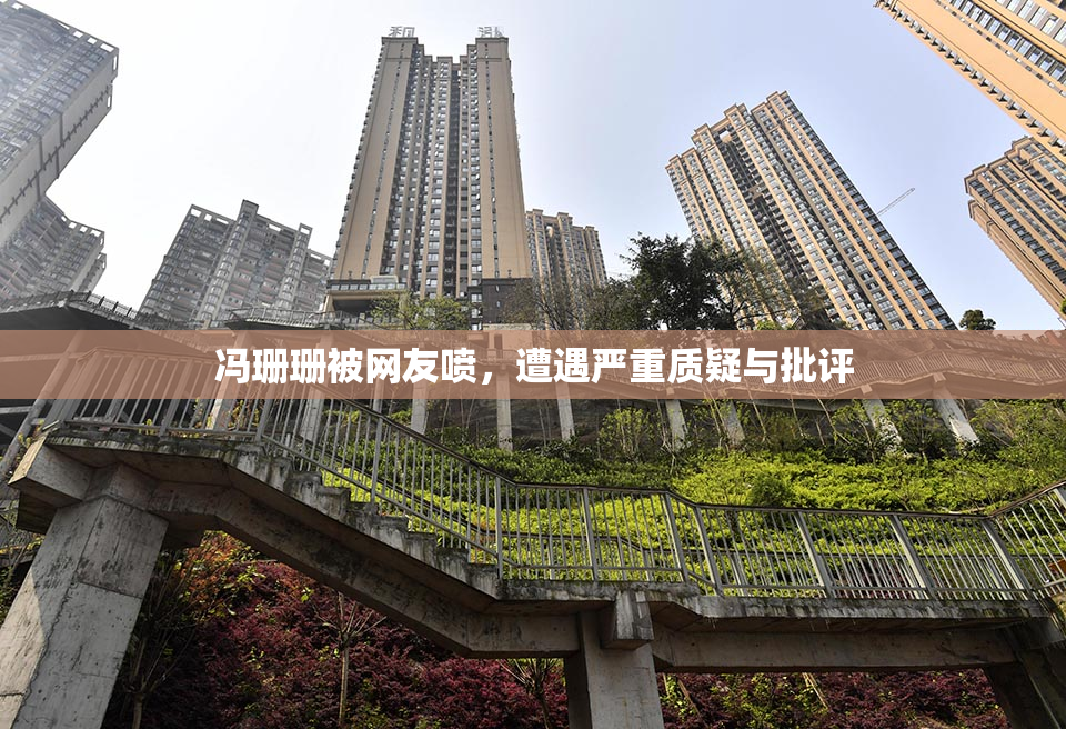 冯珊珊被网友喷，遭遇严重质疑与批评