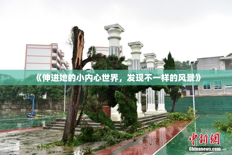 《伸进她的小内心世界，发现不一样的风景》