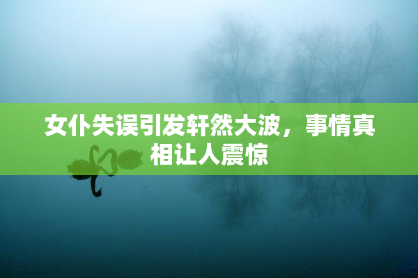 女仆失误引发轩然大波，事情真相让人震惊