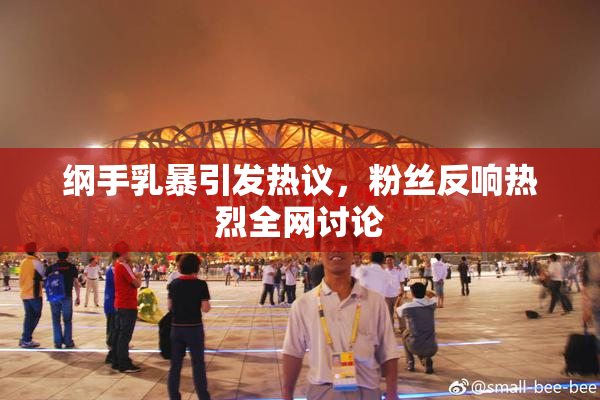 纲手乳暴引发热议，粉丝反响热烈全网讨论