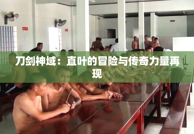 刀剑神域：直叶的冒险与传奇力量再现