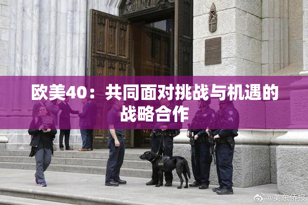 欧美40：共同面对挑战与机遇的战略合作