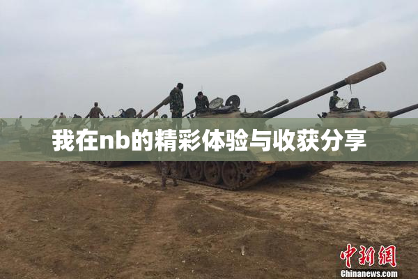 我在nb的精彩体验与收获分享