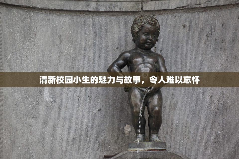 清新校园小生的魅力与故事，令人难以忘怀