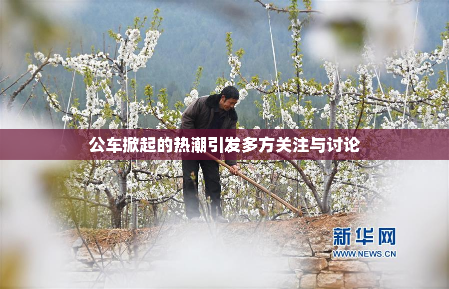 公车掀起的热潮引发多方关注与讨论
