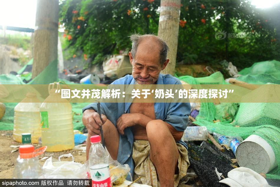 “图文并茂解析：关于‘奶头’的深度探讨”