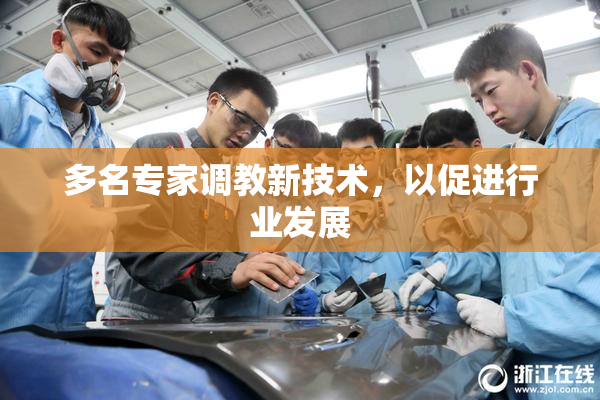 多名专家调教新技术，以促进行业发展