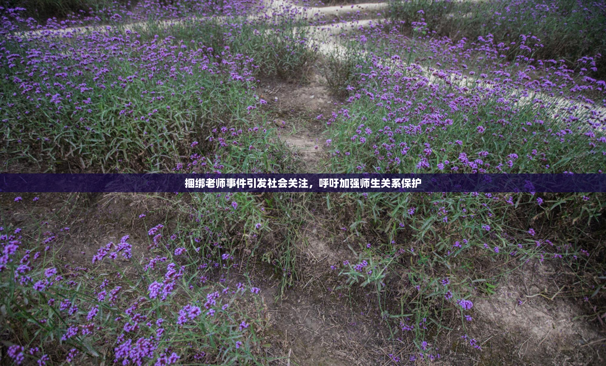 捆绑老师事件引发社会关注，呼吁加强师生关系保护
