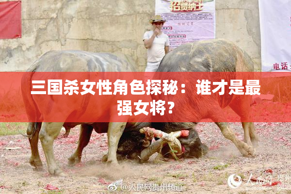三国杀女性角色探秘：谁才是最强女将？