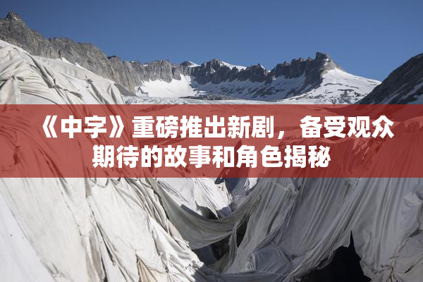 《中字》重磅推出新剧，备受观众期待的故事和角色揭秘