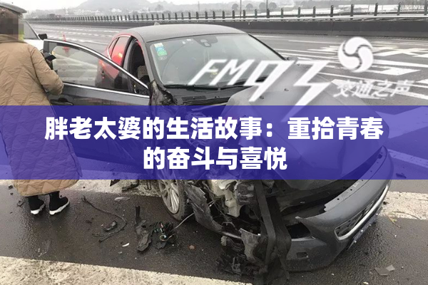 胖老太婆的生活故事：重拾青春的奋斗与喜悦