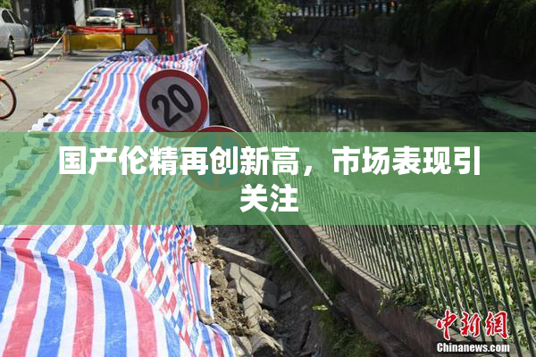 国产伦精再创新高，市场表现引关注