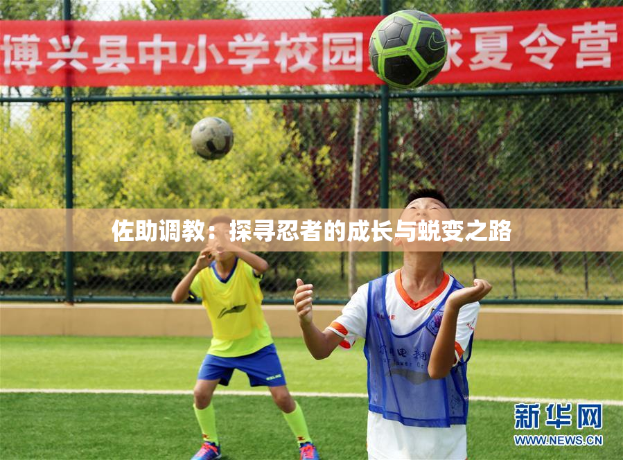 佐助调教：探寻忍者的成长与蜕变之路