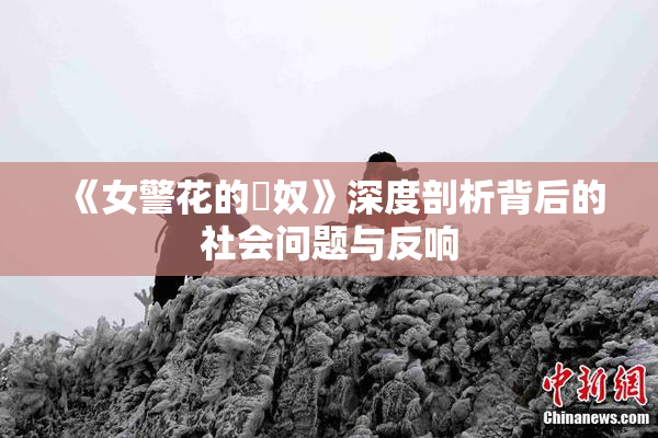 《女警花的婬奴》深度剖析背后的社会问题与反响