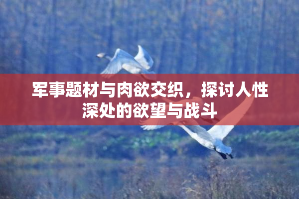 军事题材与肉欲交织，探讨人性深处的欲望与战斗